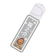スティック型