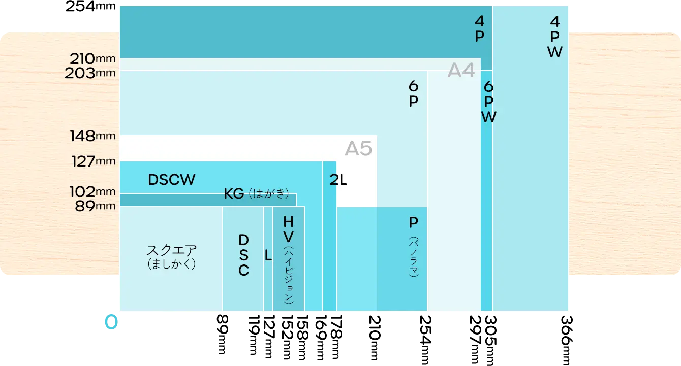 サイズ比較