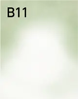 B11
