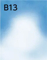 B13