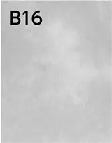 B16