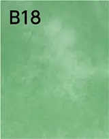 B18