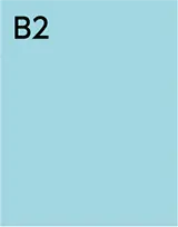 B2