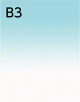 B3