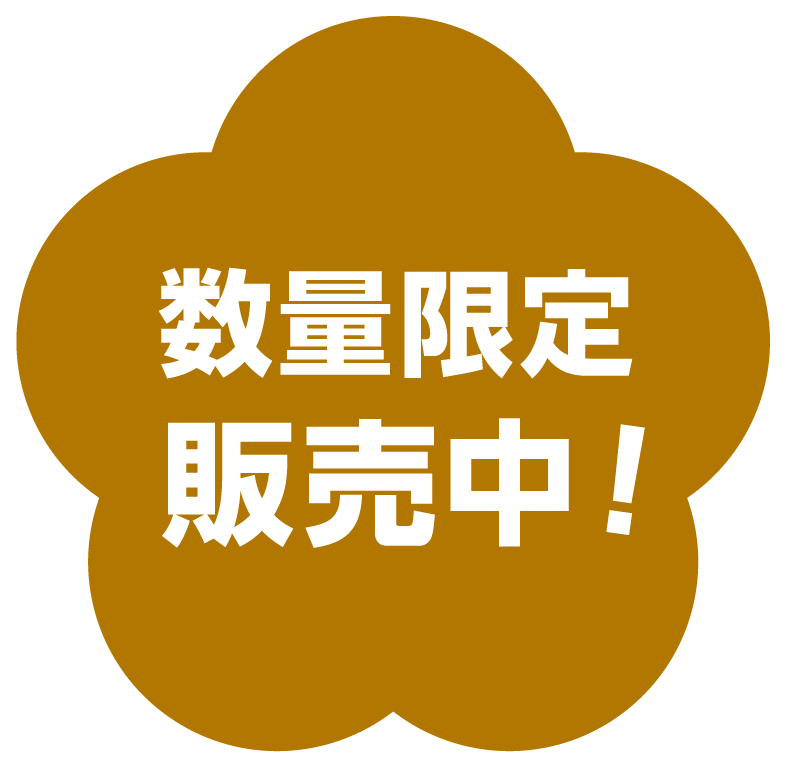 数量限定販売中